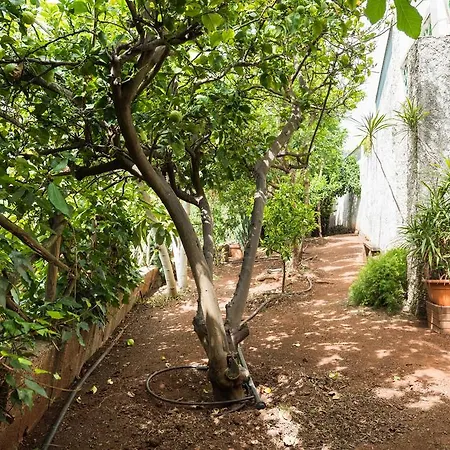 Relax Canary House Gc51 Holiday home *